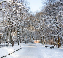 Đặt mua vé máy bay Phú Quốc đi Munich tháng 2 Vietnam Airlines