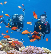 Thông tin vé máy bay Phú Quốc đi Nha Trang khứ hồi