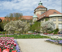 Trải nghiệm khó quên với vé máy bay Pleiku đi Munich giá rẻ