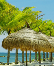 Hấp dẫn vé máy bay Pleiku đi Nha Trang khứ hồi