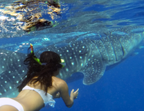 Sở hữu vé máy bay Pleiku đi Philippines giá rẻ nhất