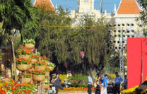 Book vé máy bay Pleiku đi Sài Gòn tháng 12 có gì đặc biệt