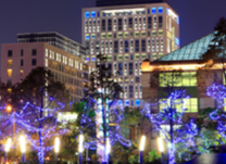 Vé máy bay Quy Nhơn đi Đài Bắc Vietnam Airlines