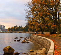 Vé máy bay Quy Nhơn đi Toronto tháng 2 dành cho bạn