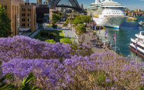 Cẩm nang giá vé máy bay Sài Gòn đi Melbourne dành cho bạn