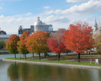 Cẩm nang  vé máy bay Sài Gòn đi Vancouver tháng 12 giá rẻ