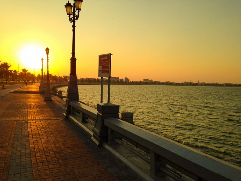 Một phần của Dammam Croniche