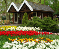 Vé máy bay Thanh Hóa đi hà Lan