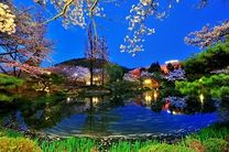 Vé máy bay Thanh Hóa đi Seoul tháng 8