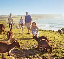 Cực hấp dẫn vé máy bay Thanh Hóa đi Sydney