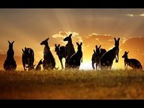 Vé máy bay Thanh Hóa đi Úc