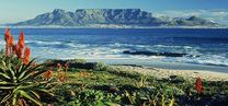 vé máy bay từ Phú Quốc đi Cape Town khứ hồi 
