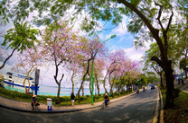 Du lịch cùng tấm vé máy bay Tuy Hòa đi Hà Nội tháng 3 khứ hồi