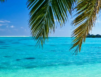 Vé máy bay VietJet Air Hồ Chí Minh đi Nha Trang