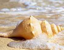 Vé máy bay VietJet Air Tuy Hòa đi Phú Quốc khứ hồi