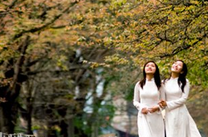 Vé máy bay Vietnam Airline từ Đà Nẵng đi Hà Nội khứ hồi