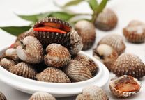 Vé máy bay Vietnam Airline từ Hà Nội đến Nha Trang khứ hồi