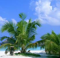 Vé máy bay Vietnam Airlines Côn Đảo đi Phú Quốc