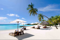 Vé máy bay Vietnam Airlines Đà Lạt đi Nha Trang