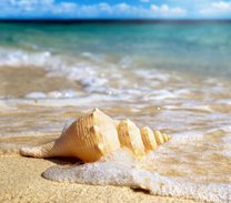 Hấp dẫn vé máy bay Vietnam Airlines Hà Nội đi Phú Quốc tháng 12