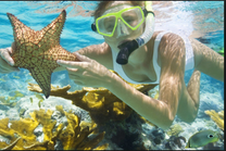 Vé máy bay Vietnam Airlines Hà Nội-Phú Quốc