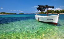 Thông tin về tấm vé máy bay Vietnam Airlines Sài Gòn đi Nha Trang khứ hồi tháng 9