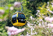 Rộn ràng đặt vé máy bay Vietnam Airlines Nha Trang đi Đà Nẵng tháng 11