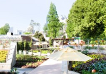 Tuyệt chiêu sở hữu vé máy bay Vinh đi Atlanta giá rẻ