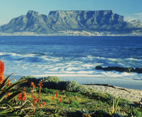 Khuyến mãi lớn vé máy bay Vinh đi Nam Phi giá hấp dẫn chưa từng có