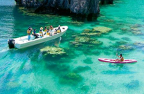 Cập nhật giá vé máy bay Vinh đi Philippines rẻ nhất