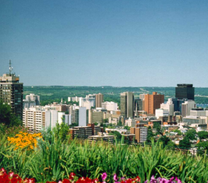 Khủng hoảng giá vé máy bay Vinh đi Toronto tháng 2