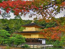 Chùa Vàng Nhật Bản