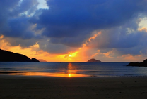 bãi đầm trầu côn đảo