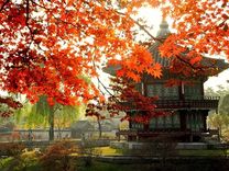 Sự thật về việc bạn có nên du lịch Hàn Quốc