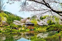 Dự tính đi du lịch Hàn Quốc bao nhiêu tiền