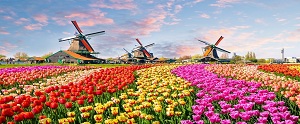 10 điều thú vị về đất nước Hà Lan