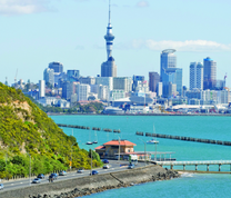 Du lịch Auckland nên mua gì?