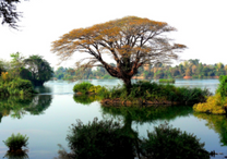 Du lịch Lào một mình