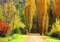 Có gì thú vị khi du lịch Nam Phi một mình