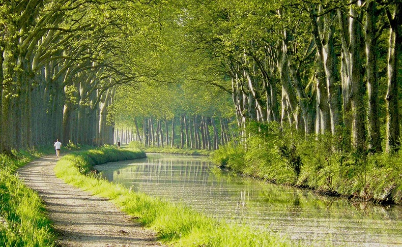 Du xuân thả ga với du lịch bui Pháp