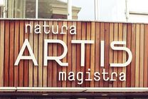 Ghé thăm vườn thú Natura Artis Magistra