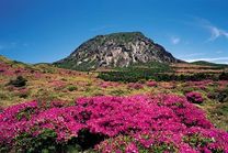 Chinh phục núi Hallasan khám phá nóc nhà của Hàn Quốc