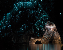 Hang động đom đóm kỳ ảo ở New Zealand