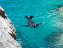 Khám phá vẻ đẹp vườn quốc gia Abel Tasman