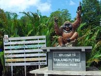 Khám phá vườn quốc gia Tanjung Puting 