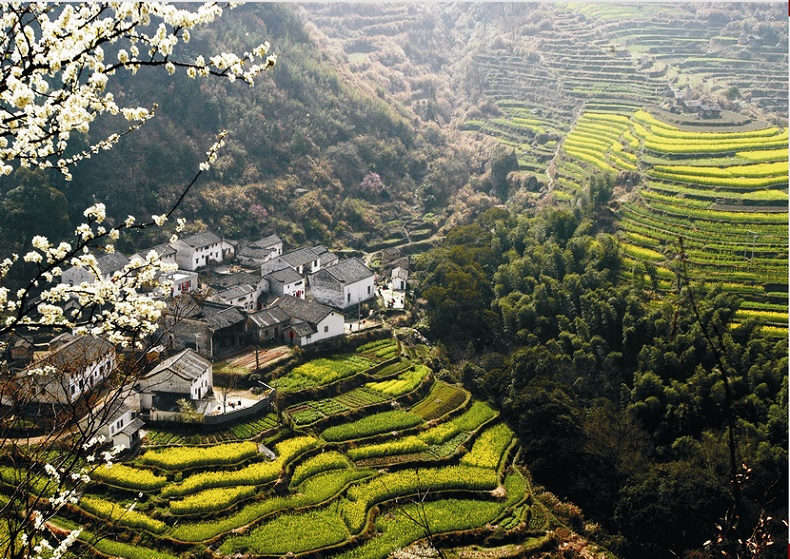 Kinh nghiệm du lịch An Huy Trung Quốc 1