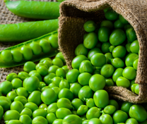 Kinh nghiệm du lịch Hà Lan tự túc