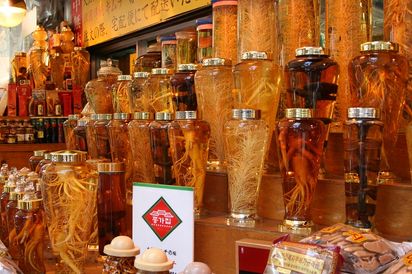 Bán Sâm Hàn Quốc Tại Đà Nẵng