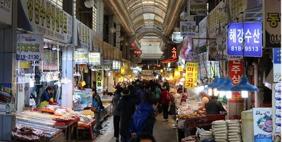 Bán Sâm Hàn Quốc Tại Đà Nẵng