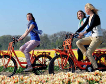 Kinh nghiệm du lịch tại Hà Lan